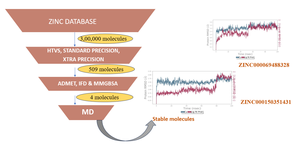 Graphical Abstract